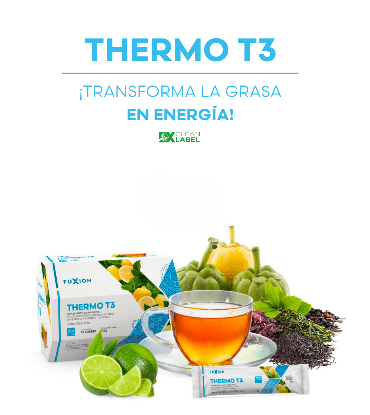 THERMO T3