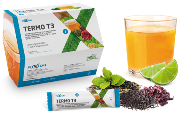 THERMO T3